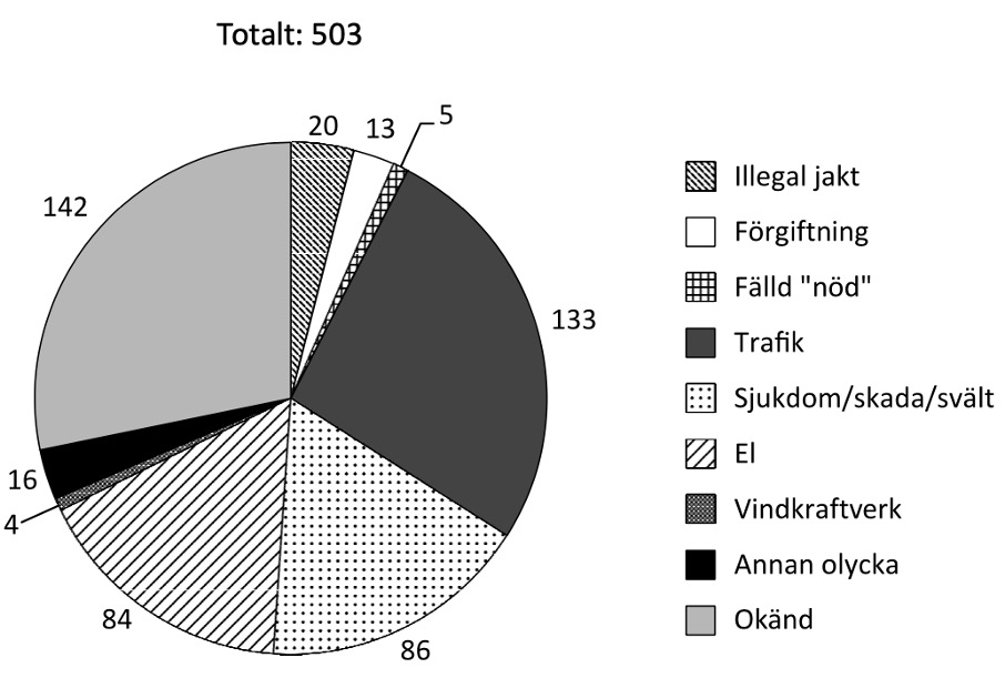 hp24 provpass 5 dtk dödlighet hos kungsörnar