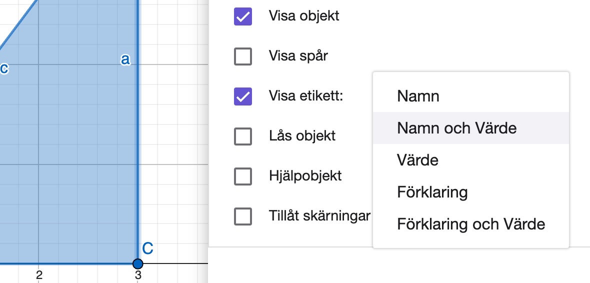 visa-etikett-i-geogebra