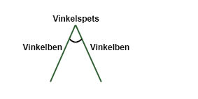 vinkelspets och vinkelben