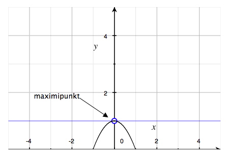 Maximipunkt