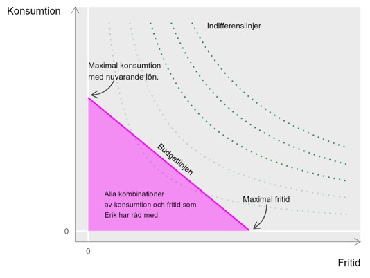 konsumtion vs fritid - budgetlinjen och indifferenslinjer