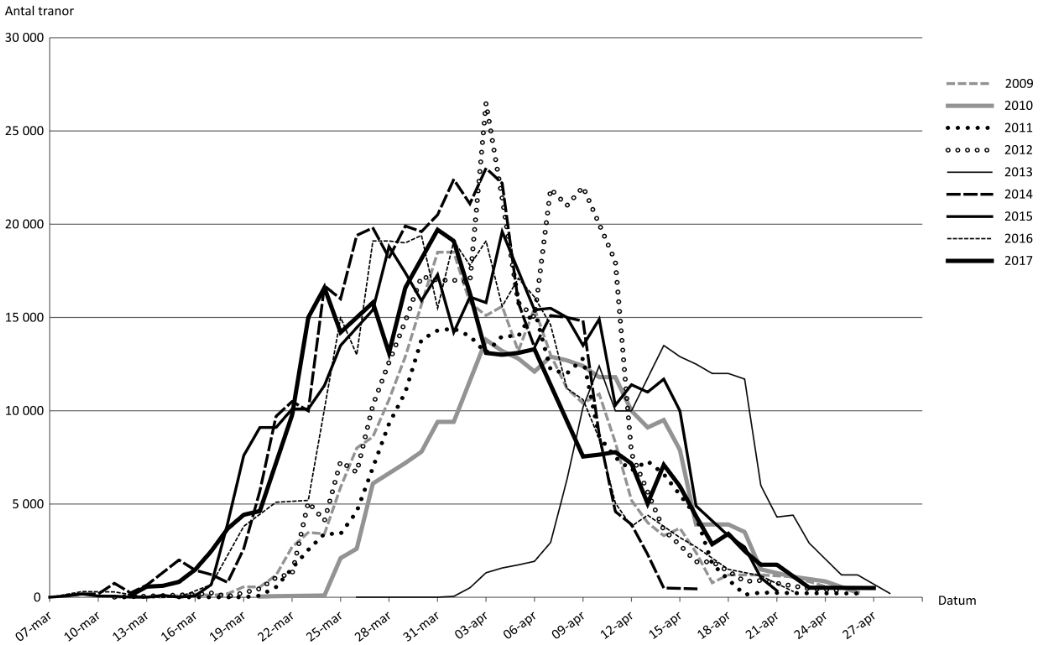 trandansen vid hornborgasjön