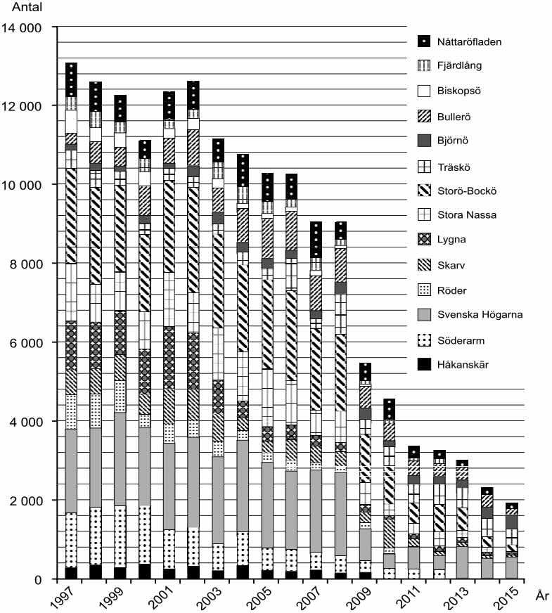 Ejder i Stockholms skärgård